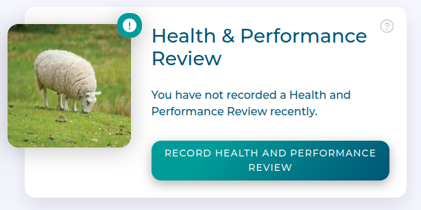 Health and Performance Review