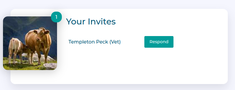 Invitation card Invitation card